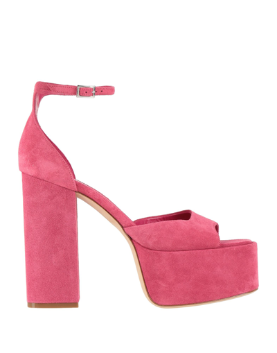 Shop Paris Texas Woman Sandals Fuchsia Size 8 Calfskin In Pink