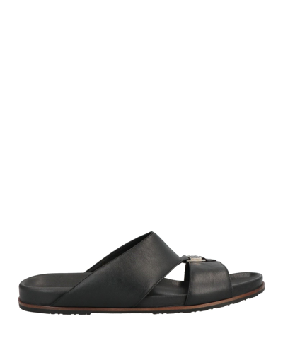 Shop Pakerson Sandals In Black