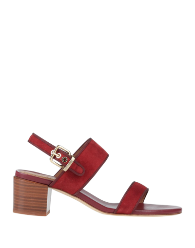 Shop Vanessa Bruno Woman Sandals Burgundy Size 6 Soft Leather In Red