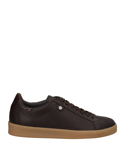 Shop Pollini Man Sneakers Dark Brown Size 8 Calfskin