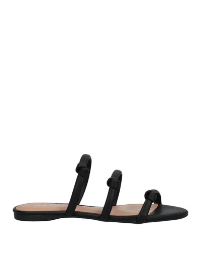 Shop Arezzo Woman Sandals Black Size 6 Textile Fibers
