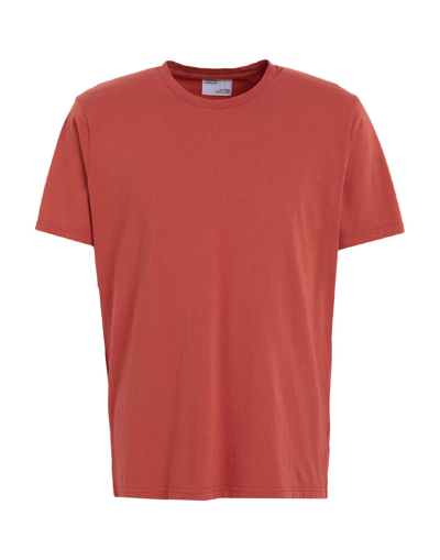 Shop Colorful Standard Classic Organic Tee T-shirt Rust Size L Organic Cotton In Red