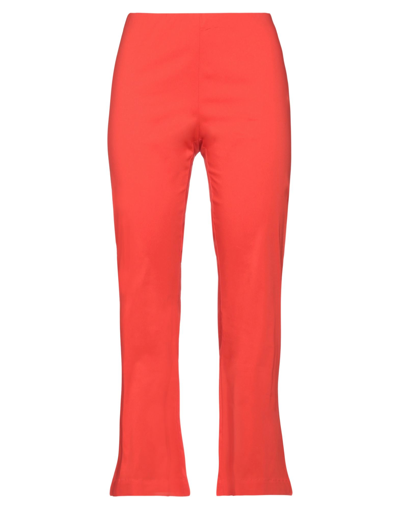 Shop Liviana Conti Woman Pants Coral Size 10 Cotton, Polyamide, Elastane In Red