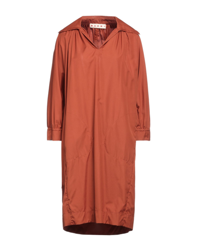 Shop Marni Woman Midi Dress Rust Size 4 Cotton In Red