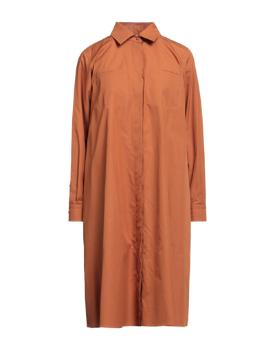 Shop Max Mara Woman Midi Dress Brown Size 8 Cotton