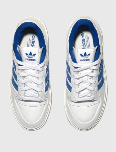Adidas Originals Forum Bonega Shoes In Blue