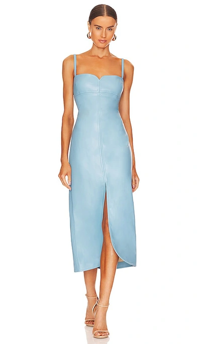 Shop Alexis Camellia Dress In Baby Blue