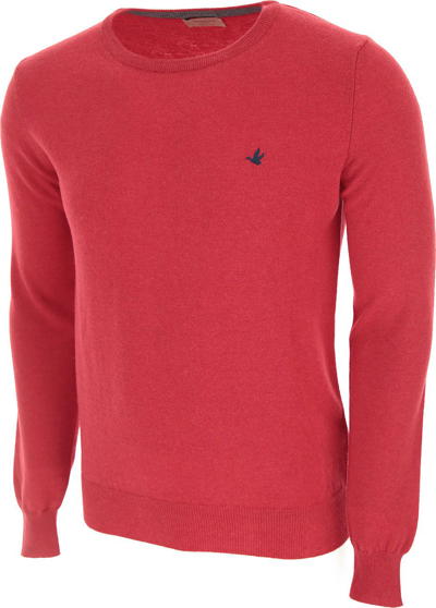 Shop Brooksfield Men's Red Cotton Sweater