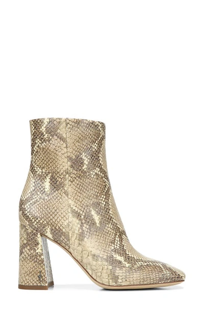 Shop Sam Edelman Codie Square Toe Bootie In Wheat Multi Snake Print