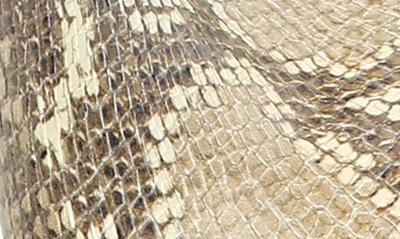 Shop Sam Edelman Codie Square Toe Bootie In Wheat Multi Snake Print
