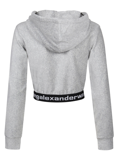Shop Alexander Wang Women's Grey Other Materials Sweatshirt