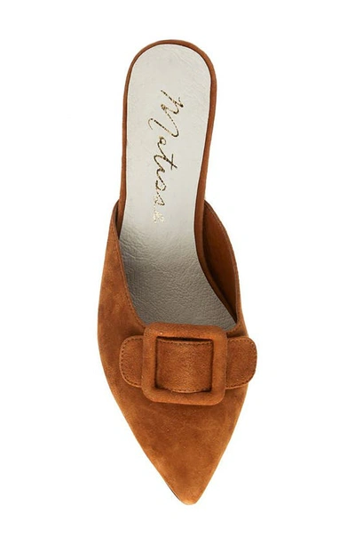 Shop Matisse Layover Pointed Toe Mule In Saddle