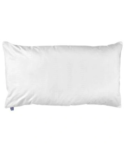 Shop Sealy Dream Lux Soft Pillows In White