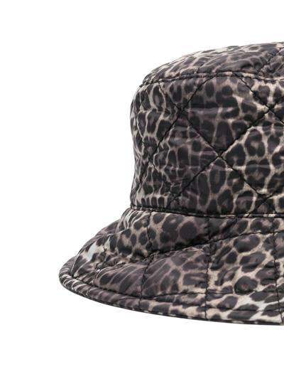 Maison Michel Leopard-print Bucket Hat In Brown