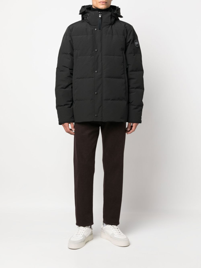 Shop Canada Goose Padded Hooded Coat In Black