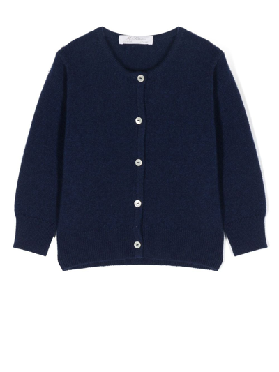 Mariella Ferrari Button-up Cashmere-merino Cardigan In Blue