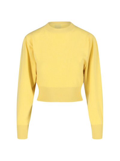 Shop Art Essay Crop Sweater In Giallo
