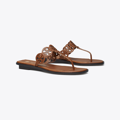 Shop Tory Burch Tiny Miller Thong Sandal In Burnt Cuoio