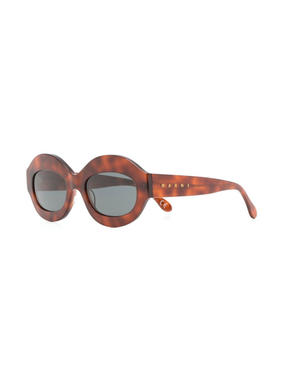 Marni Eyewear Tortoiseshell Round-frame Sunglasses In Brown