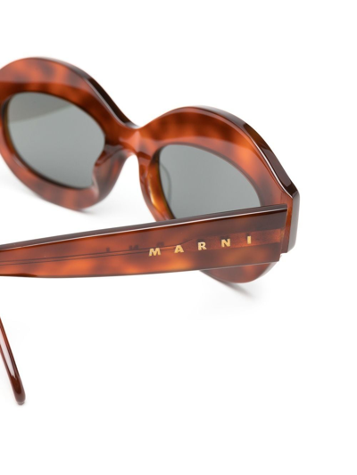 Marni Eyewear Tortoiseshell Round-frame Sunglasses In Brown