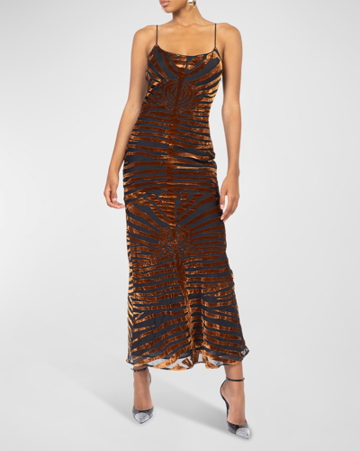 Shop Ronny Kobo Scarlett Spaghetti-strap Burnout Velvet Midi Dress In Amber Black