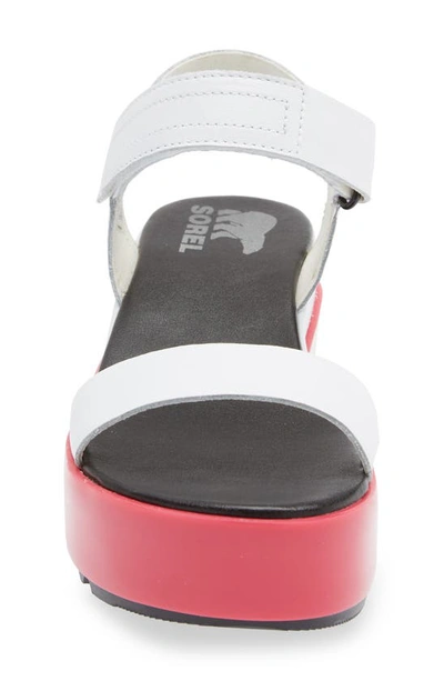 Shop Sorel Cameron Sandal In White Punch Pink