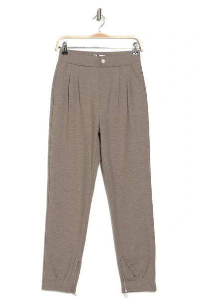 Shop Patrizia Luca Zip Cuff Pants In Taupe