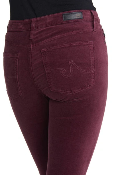 Shop Ag The Farrah High Waist Velvet Jeans In Maroon Peak