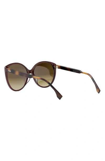 Shop Fendi ' Fine 59mm Round Sunglasses In Bordeaux