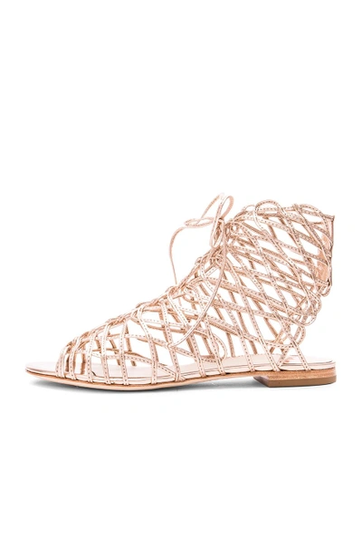 Shop Sophia Webster Delphine Gladiator In Gold