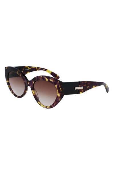 Longchamp Roseau 54mm Gradient Cat Eye Sunglasses In Tokyo Purple Havana