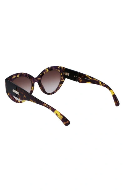 Shop Longchamp Roseau 54mm Gradient Cat Eye Sunglasses In Tokyo Purple Havana