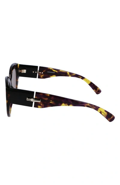 Longchamp Roseau 54mm Gradient Cat Eye Sunglasses In Tokyo Purple Havana
