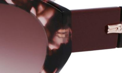 Longchamp Roseau 54mm Gradient Cat Eye Sunglasses In Rose Havana