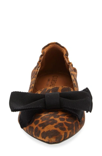 Cordani Vienna Pointed Toe Flat In Leopard Suede