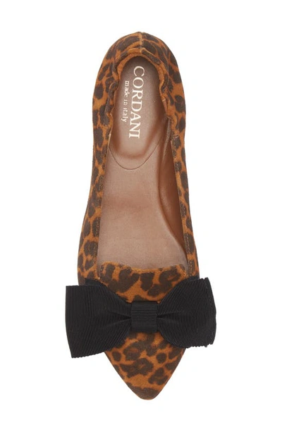 Cordani Vienna Pointed Toe Flat In Leopard Suede