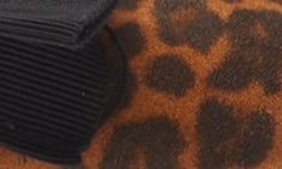 Cordani Vienna Pointed Toe Flat In Leopard Suede