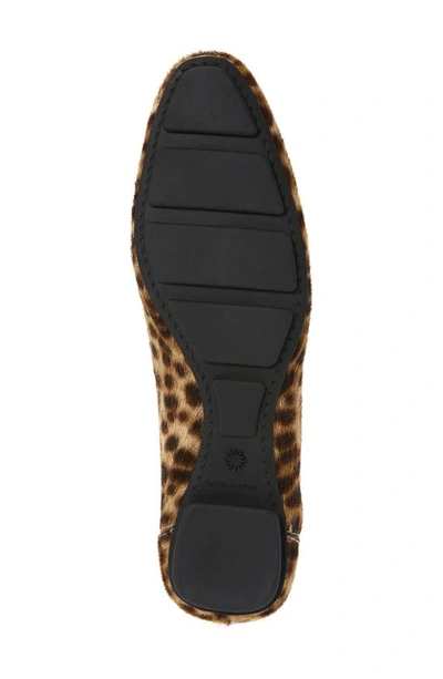Shop Stuart Weitzman Jet Penny Loafer In Cheetah Calf Hair