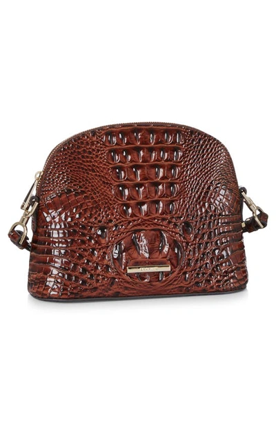Shop Brahmin Georgina Small Croc Embossed Leather Dome Crossbody Bag In Pecan