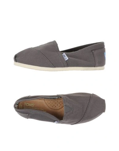 Shop Toms In Grey