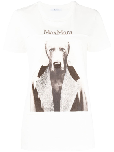 Shop Max Mara T-shirt Mmdog In White