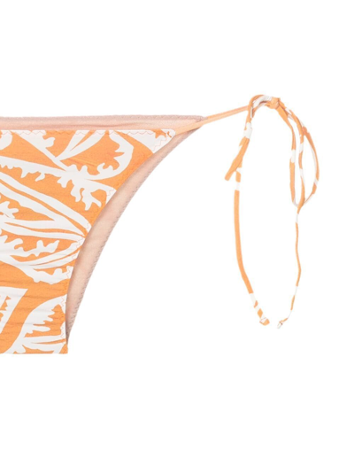 Clube Bossa Aava Leaf-print Bikini Bottoms In Orange