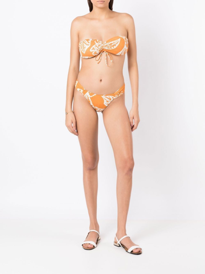 Shop Clube Bossa Percy Graphic-print Bikini Top In Orange