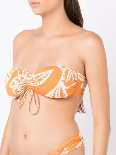 Shop Clube Bossa Percy Graphic-print Bikini Top In Orange