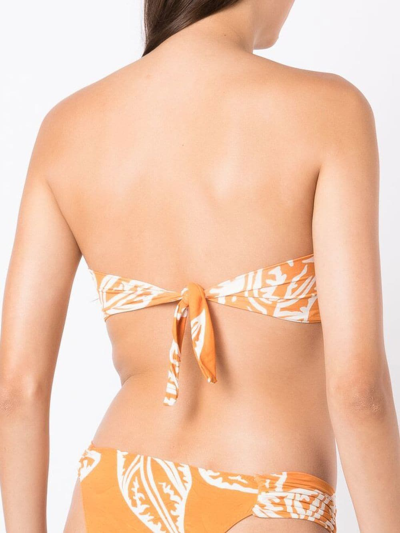 Shop Clube Bossa Percy Graphic-print Bikini Top In Orange