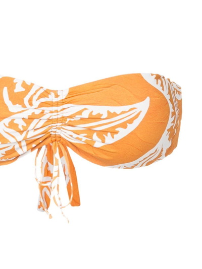Clube Bossa Percy Graphic-print Bikini Top In Orange