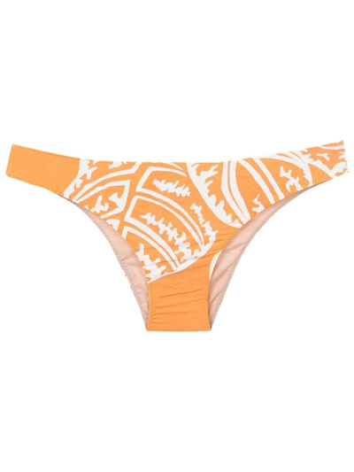 Shop Clube Bossa Niarchos Leaf-print Bikini Bottoms In Yellow