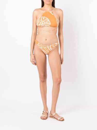 Shop Clube Bossa Niarchos Leaf-print Bikini Bottoms In Yellow