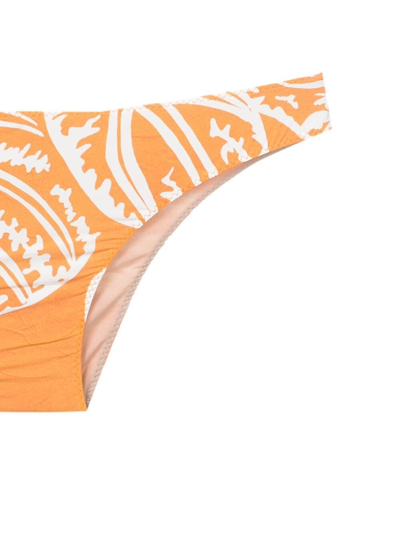 Shop Clube Bossa Niarchos Leaf-print Bikini Bottoms In Yellow