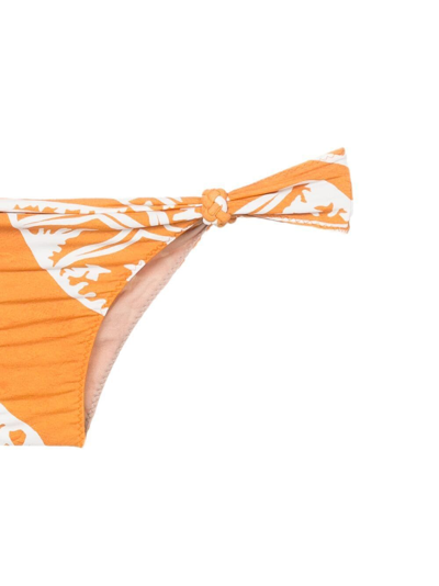 Clube Bossa Graphic-print Bikini Bottoms In Orange